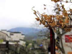 龙川村-绩溪龙川景区