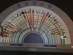 -安徽省地质博物馆
