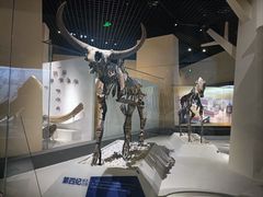 -国家自然博物馆