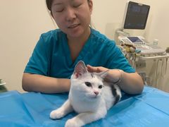 -美迦爱-牙专科·兔科·骨科诊疗中心(北苑店)