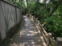 -上海佘山国家森林公园西佘山园