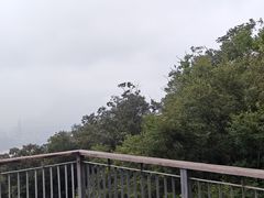 -紫金山山顶公园