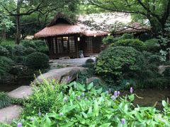 -中国茶叶博物馆(双峰馆区)