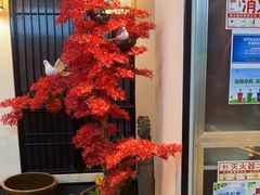 -舟小鲜·舟山小渔村(凤城四路中登广场店)