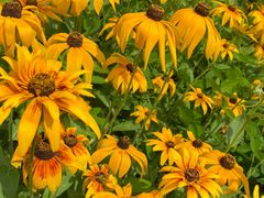 -长春公园(普阳街道)