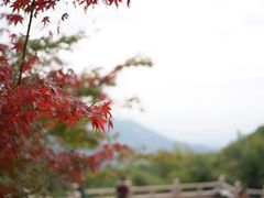 -径山寺
