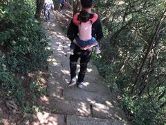 -杭州半山国家森林公园