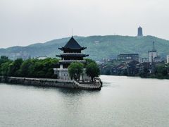 -仙都辣酱鸭(总店)