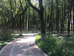 -金典银峰老鹅馆·昆山菜(亭林公园店)