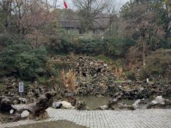 -伯先公园