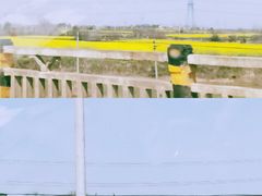 -金卉庄园