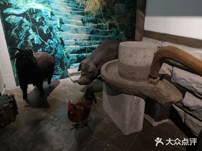 重庆中国三峡博物馆(重庆博物馆)景点图片