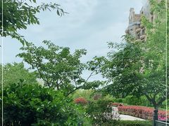 -青岛金沙滩希尔顿酒店·自助餐厅