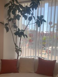 -WENDY·温迪皮肤管理