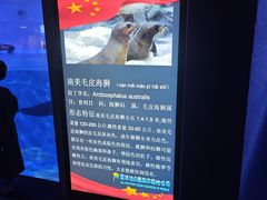 -蓬莱欧乐堡海洋极地世界