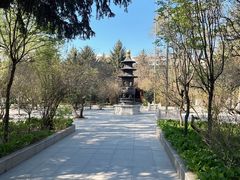 -哈尔滨极乐寺