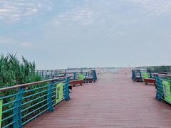-上海吴淞炮台湾国家湿地公园