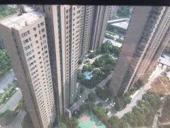 -涌泉妈咪树通乳·产后恢复