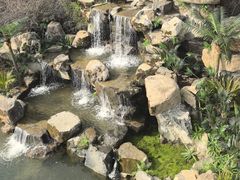 -平湖九龙山旅游度假区