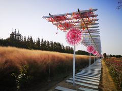 -嘉北郊野公园