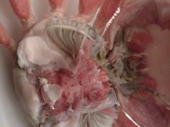 android_upload_pic-杭州国际会议中心洲际酒店-原素全日餐厅(解放东路店)