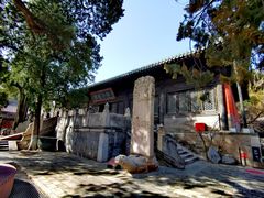 -大觉寺-停车场