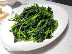 番薯叶-79号渔船海鲜饭店(宝安店)