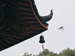 -绳金塔