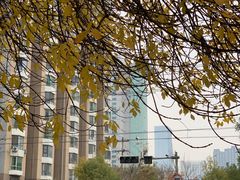 -好利来(槐中店)