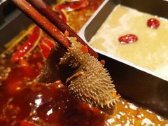 -巴奴毛肚火锅(二七万达店)