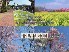 -青岛大珠山景区