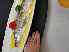 -毗陵醉·黑钻(湖塘店)