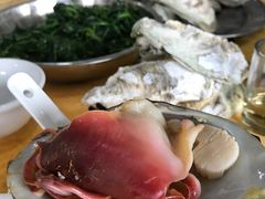 -蚝专家(北滘店)