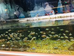 -绍兴梦享海洋公园