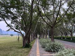 -南宁花花大世界景区