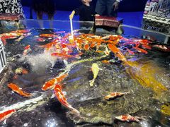 -太平洋海底世界