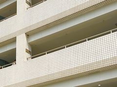 -华中科技大学同济医学院附属同济医院(汉口院区)