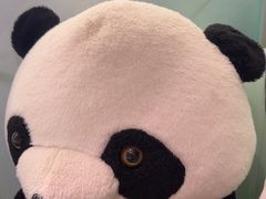 -眉州东坡·熊猫主题餐厅(枫蓝店)