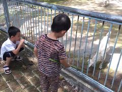 -广东茂名森林公园