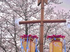 -长田漾湿地公园