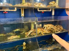 -广记海鲜(杨汊湖一店)