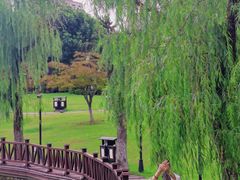 -虞山城墙