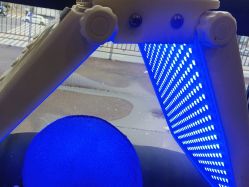 -碧莲盛·不剃发植发