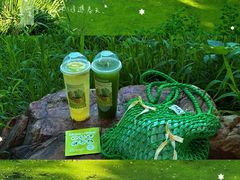 -长白岛森林公园