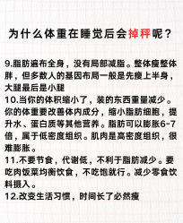 -Fundi张玉珊修身堂·indiba·BTL科技瘦身
