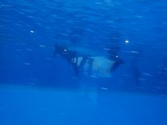 -横琴湾水世界