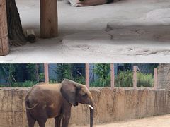 -杭州野生动物世界