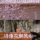 西安新晋赏花地——长安唐村