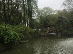 -上海醉白池公园