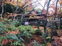 -常寂光寺